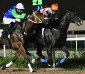 Black Ice<br>Photo by Singapore Turf Club